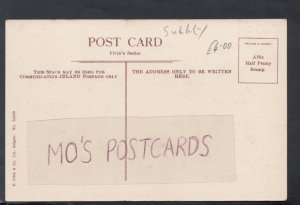 Surrey Postcard - Godalming - Borough Road  HP380