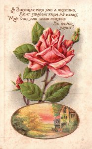 Vintage Postcard Birthday Wishes Greetings Rose Flower House Landscape Card