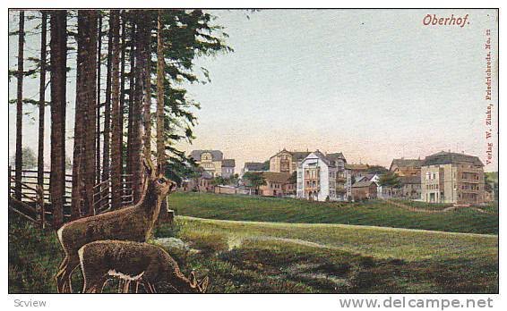 Deer, Panorama, Oberhof (Thuringia), Germany, 1900-1910s