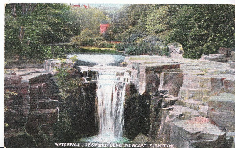 Northumberland Postcard - The Waterfall, Jesmond Dene, Newcastle-on-Tyne DR89