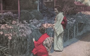 Tokyo Japan, 1911 View Horikiri Iris Garden Flowers Blooms, Vintage Postcard
