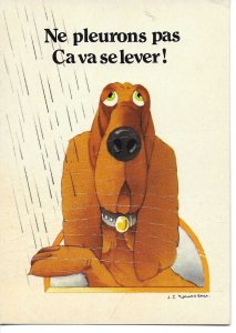 Fanny dog. Don't cry it will get better Modern French humoro...