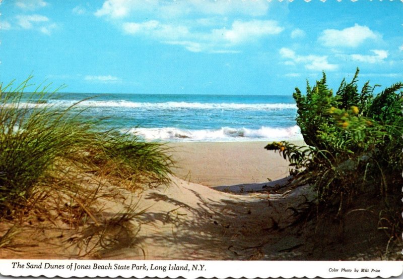 New York Long Island Jones Beach State Park Sand Dunes