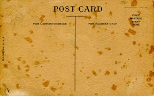 A Blue Ribbon Winner  (horse)