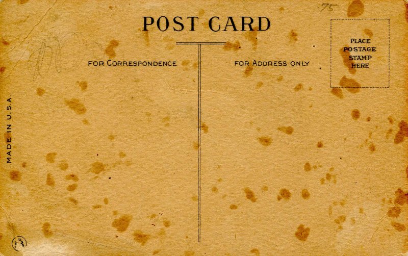 A Blue Ribbon Winner  (horse)