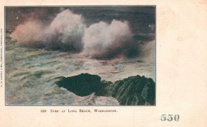 Vintage Postcard 1900's Surf At Long Beach Washington D.M. Averill & Co. Pub.