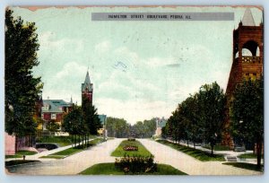 Peoria Illinois IL Postcard Hamilton Street Residence Section Scene 1907 Antique