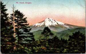 Vtg 1910s Mt Hood Oregon OR Postcard