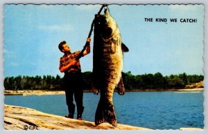 The Kind We Catch, Fish, Port Elgin Ontario, 1972 Comic Exaggeration Postcard