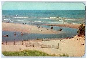 c1960s Lake Michigan Beach Warren Dunes State Park Michigan MI Unposted Postcard