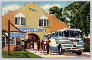 Key West Florida~Municipal Aquarium~Curio Shop~Tour Bus~1954 Linen Postcard