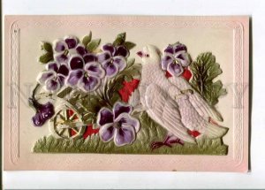 262767 PIGEON w/ PANSY Holiday Vintage EMBOSSED postcard