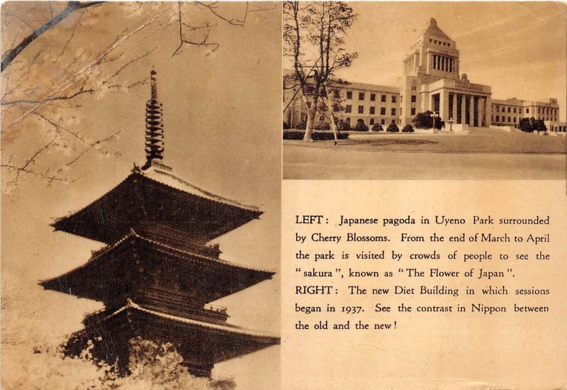 Lot329 new diet building and japanese pagoda in uyeno park japan 