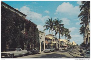 Worth Avenue , PALM BEACH , Florida , PU-1966