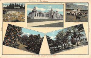 Riverside California Orange Grove Bldg Multiview Antique Postcard K32664