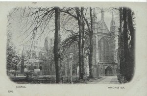 Hampshire Postcard - The Avenue - Winchester  7980