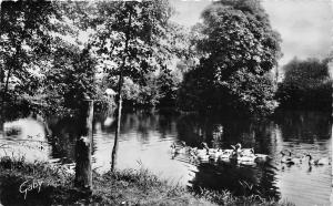 BR11290 Pre en pail Etang du Bois Gaude   france