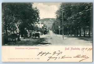 Bad Nauheim Hesse Germany Postcard Parkstrasse mit Johannisberg 1899