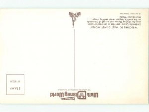 Unused Pre1980 MICKEY & MINNIE MOUSE & OTHERS AT DISNEYWORLD Orlando FL p2742@