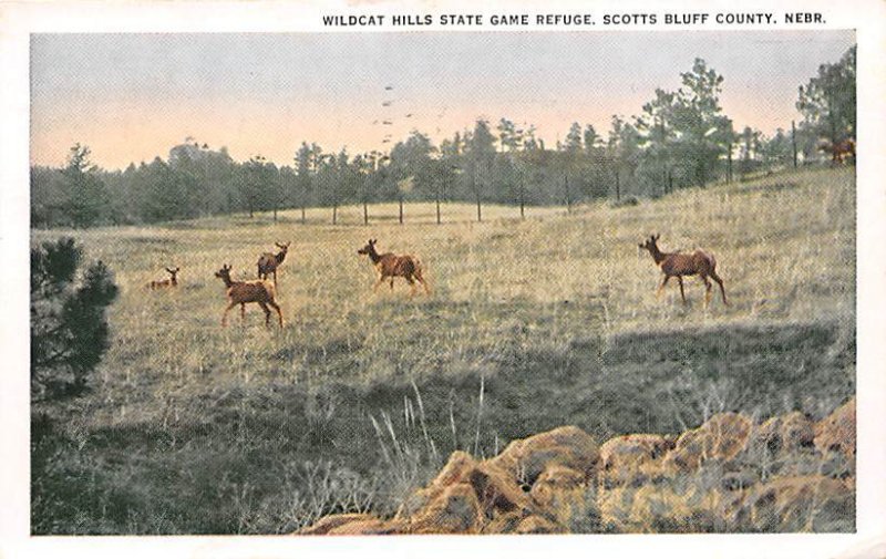 Scotts Bluff County Nebraska, USA 1937 