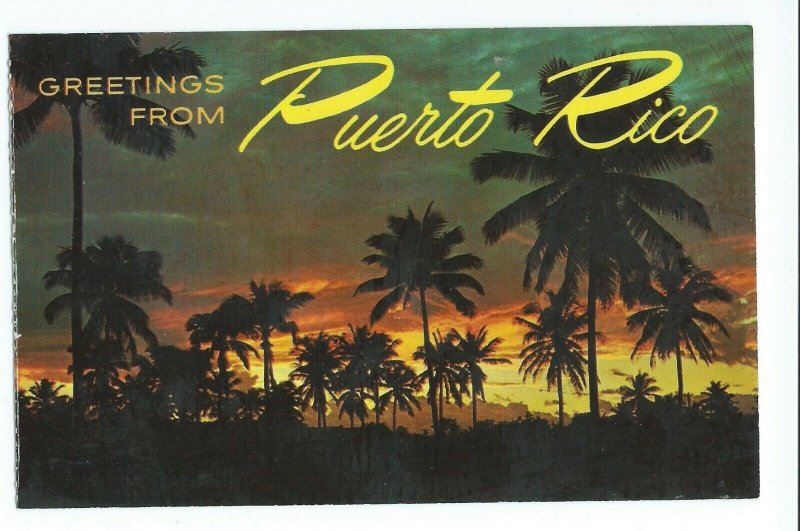 Postcard Greetings From Puerto Rico Night View VPCO1.