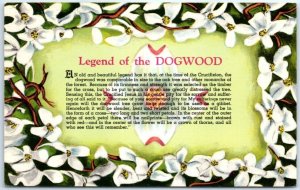 Postcard - Legend of the Dogwood