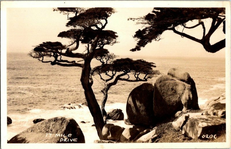 17 Mile Drive Vintage Real Photo Postcard RPPC Standard View Card 