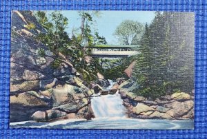 Vintage Pool & Sentinel Pine Bridge Flume Fraconia Notch White Mtns NH Postcard
