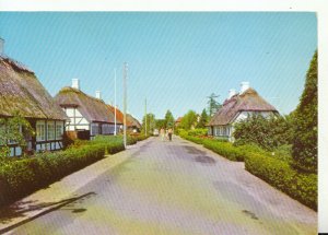 Denmark Postcard - Taasinge - Gronnegade - Troense - Ref TZ499