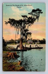BANKS OF ST. JOHNS RIVER JACKSONVILLE FLORIDA POSTCARD (c. 1910)