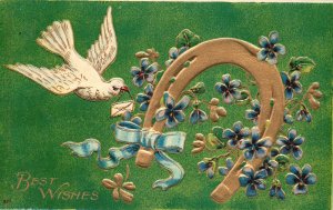 ​​Vintage Postcard 1910's Best Wishes Greetings White Bird Horse Shoe Flowers