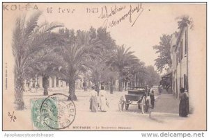 Algeria Boufarik Le Boulevard National 1903