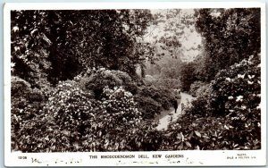 M-4843 The Rhododendron Dell Kew Gardens United Kingdom