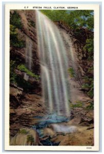 c1940's View of Stecoa Falls Clayton Georgia GA Vintage Unposted Postcard 