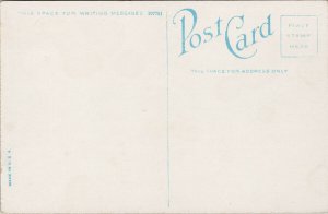 Public Pavilions Digby NS Nova Scotia Unused Postcard E95