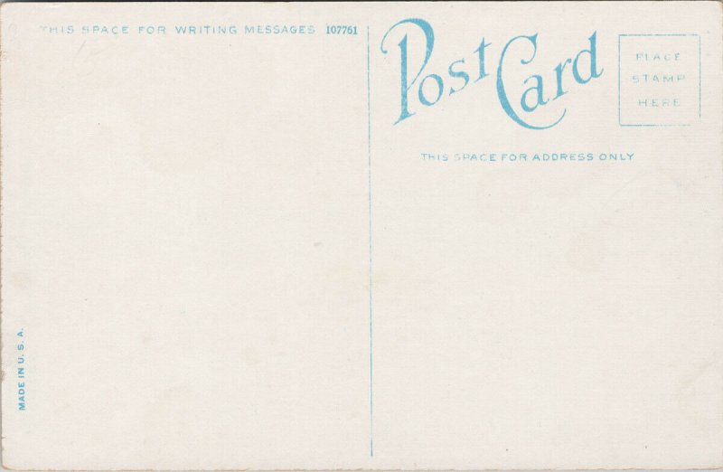 Public Pavilions Digby NS Nova Scotia Unused Postcard E95