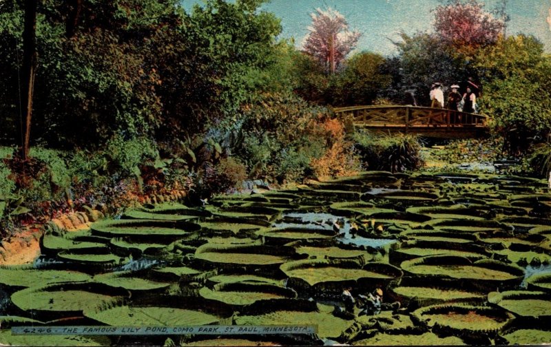 Minnesota St Paul Como Park The Famous Lily Pond 1909