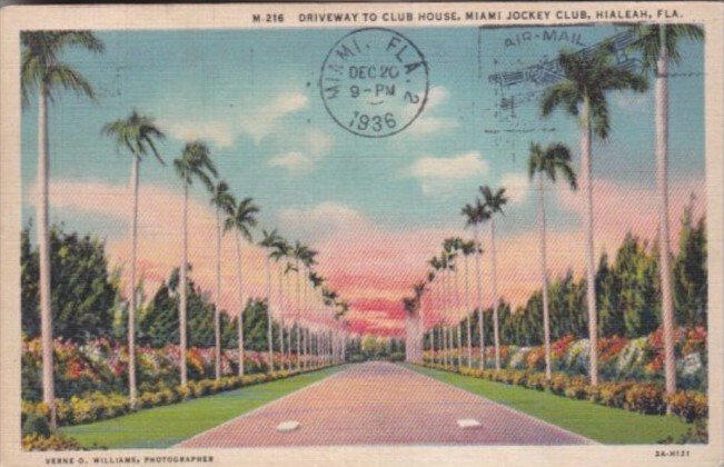 Florida Hialeah Driveway To Club House Miami Jockey Club 1936 Curteich