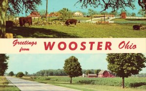 Vintage Postcard - Greetings from Wooster, Ohio Farm Scenes