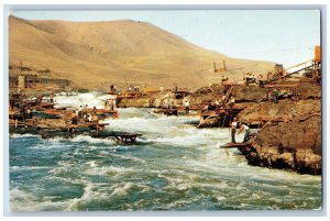 Celilo Falls Oregon Postcard View Of The Indians Fishing At This Famous Landmark