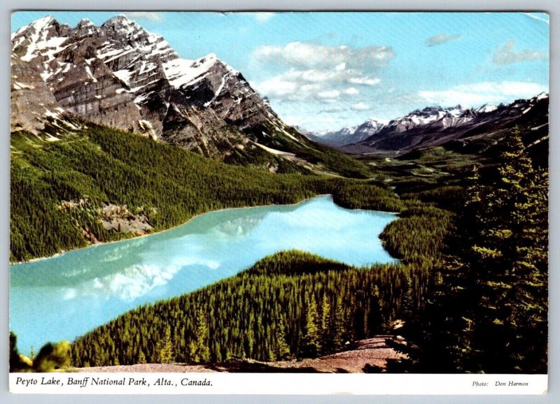 Peyto Lake, Banff National Park, Alberta, 1971 Chrome Aerial View Postcard