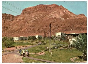 Ein Gedi Kibbutz on Western Shore of the Dead Sea in Israel Postcard