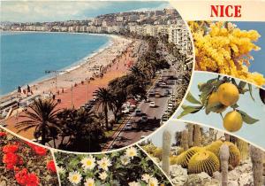 BR15770 Nice   france