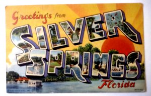 Greetings From Silver Springs Florida Large Letter Postcard Glass Bottom Boat