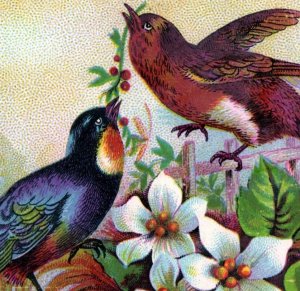 1884 Prof. Monahan Limerick Music Men's P.I.B.A. Ball Ticket F136