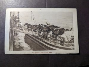 Mint Dutch East Indies RPPC Postcard Ship Horse Loading in Sumba