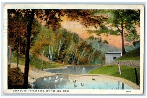 1926 Duck Pond Forest Park Group Of Ducks Springfield Massachusetts MA Postcard