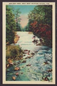 Deep Creek,Great Smoky Mountains Postcard 