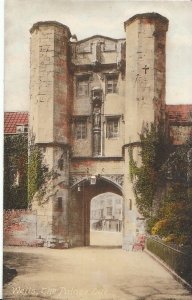 Somerset Postcard - Wells - The Palace Eye   P172