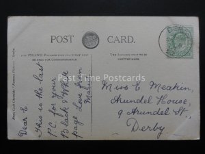 Country Theme Depicts HERON BY POND AT SUNSET c1905 Postcard by Jesse Boot